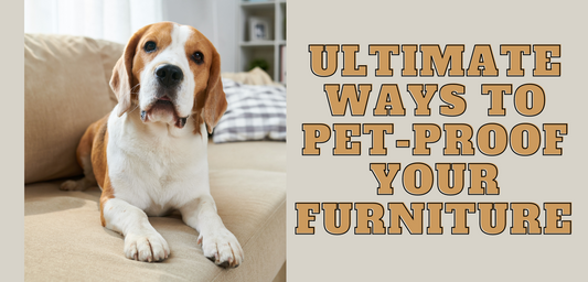 Ultimate Way to Pet-Proof Your Furniture